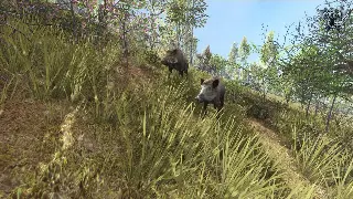 版本末期谁是真神？DNF全职业强度分析：红眼依旧坚挺，奶萝才是版本答案？